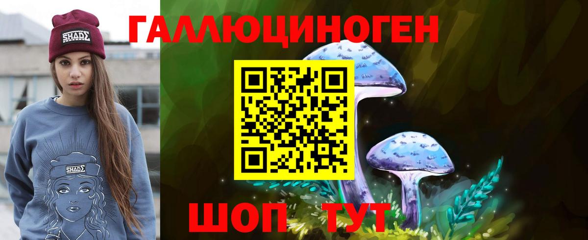 Псилоцибиновые грибы мухоморы  Псилоцибиновые грибы прущие грибы  Алексеевка  где найти   Вход с VPN 
