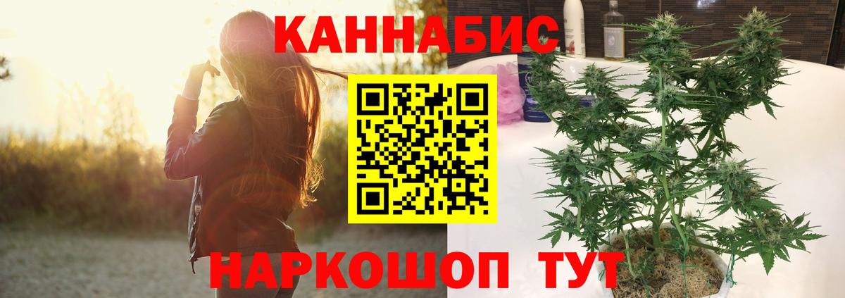 Алексеевка  МАРИХУАНА SATIVA & INDICA  Вход с VPN  Шишки марихуана планчик 